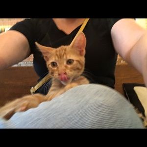 Meet your Posher, Leslie